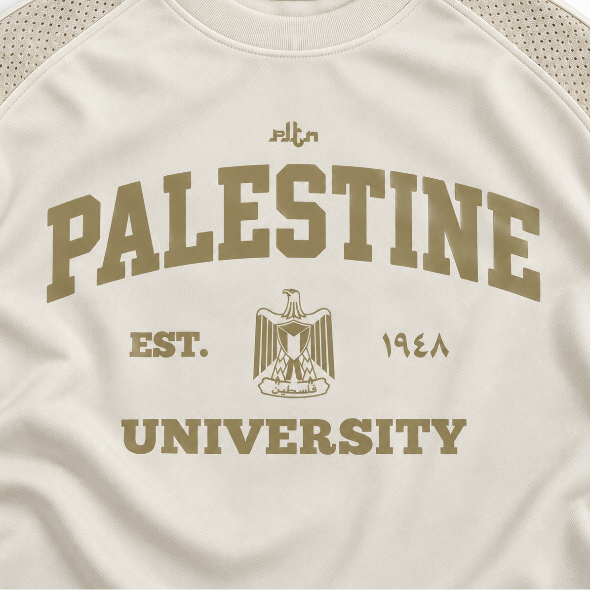 Pltn University Camel