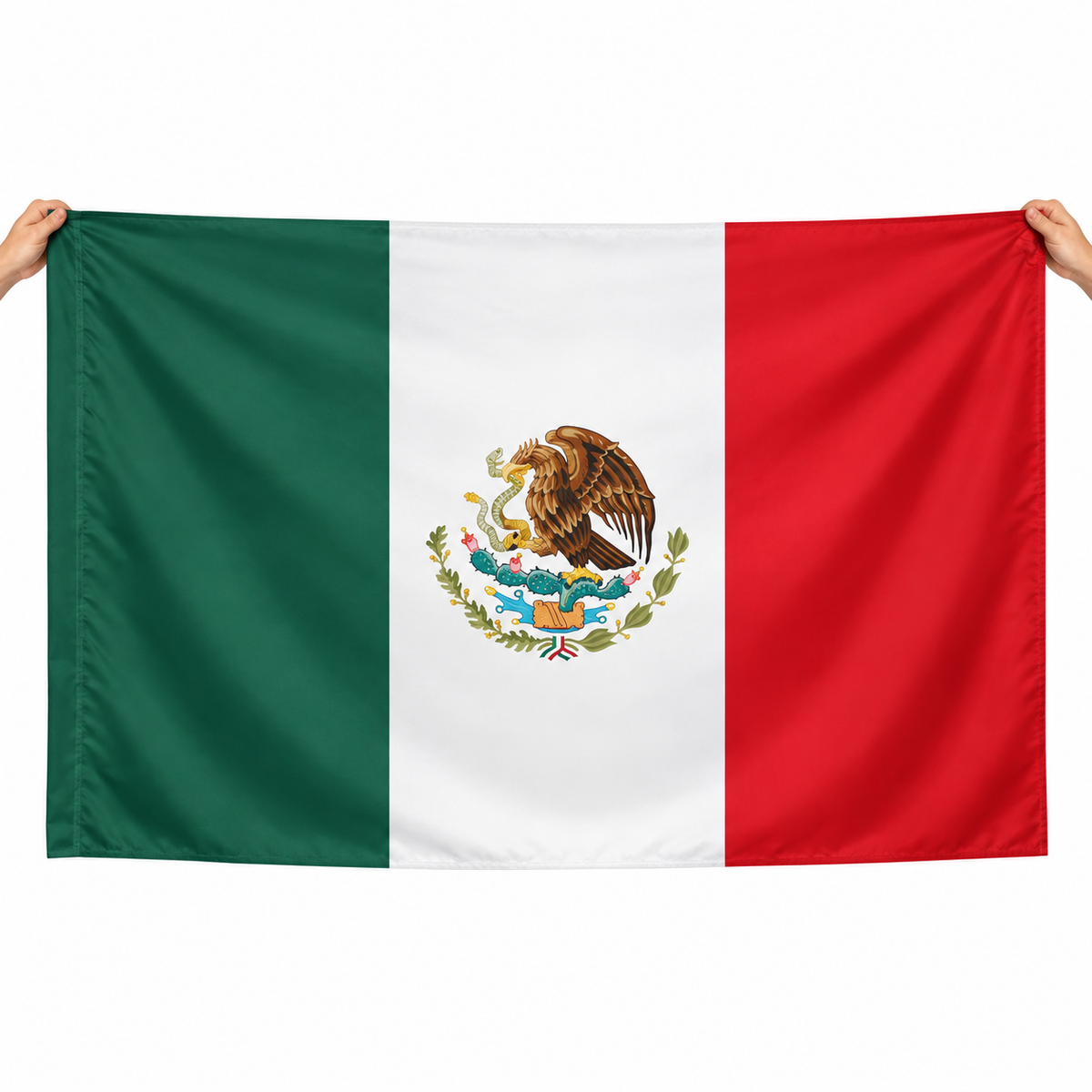 Flag - World Cup Edition