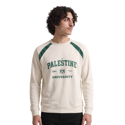 Pltn University olive